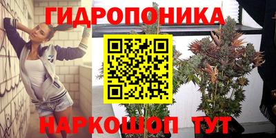 дурь Обь