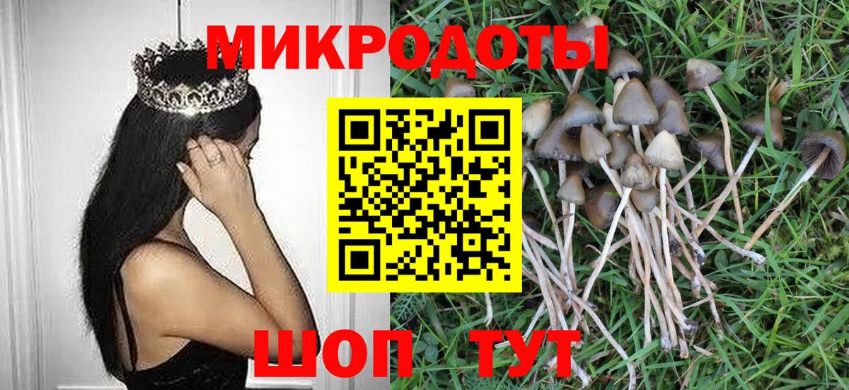 Озёрск  Псилоцибиновые грибы GOLDEN TEACHER  Вход с VPN 